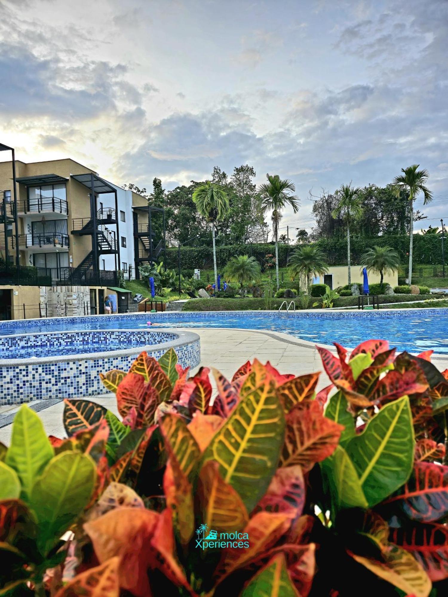 Apartamento Privado Vacacional A 5M Del Aeropuerto, 20 Minutos Del Parque Del Cafe Y Centro De Armenia Con 4 Piscinas, 3 Jacuzzi, Sauna By Molca Xperiences 3H Buitenkant foto