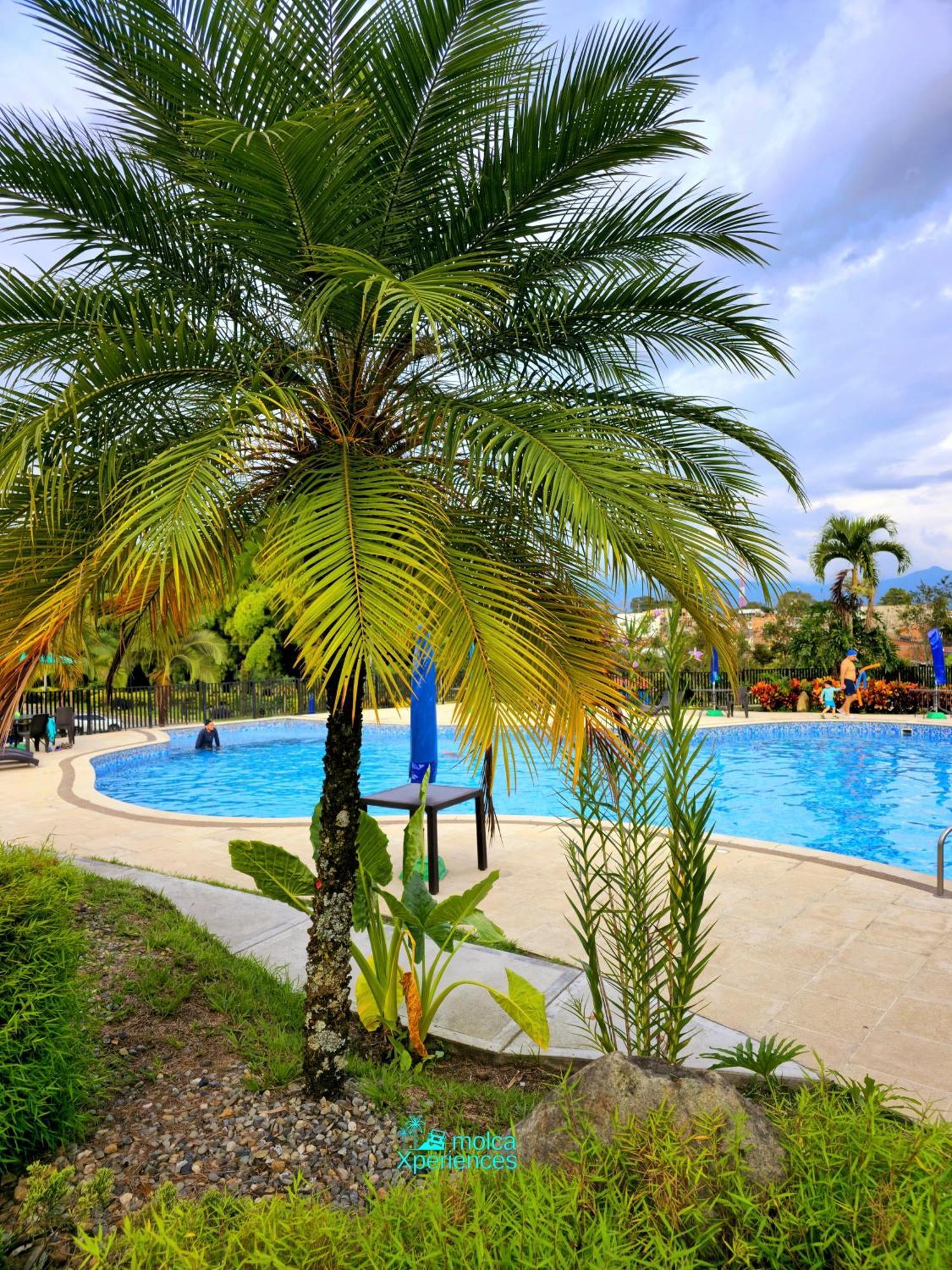 Apartamento Privado Vacacional A 5M Del Aeropuerto, 20 Minutos Del Parque Del Cafe Y Centro De Armenia Con 4 Piscinas, 3 Jacuzzi, Sauna By Molca Xperiences 3H Buitenkant foto